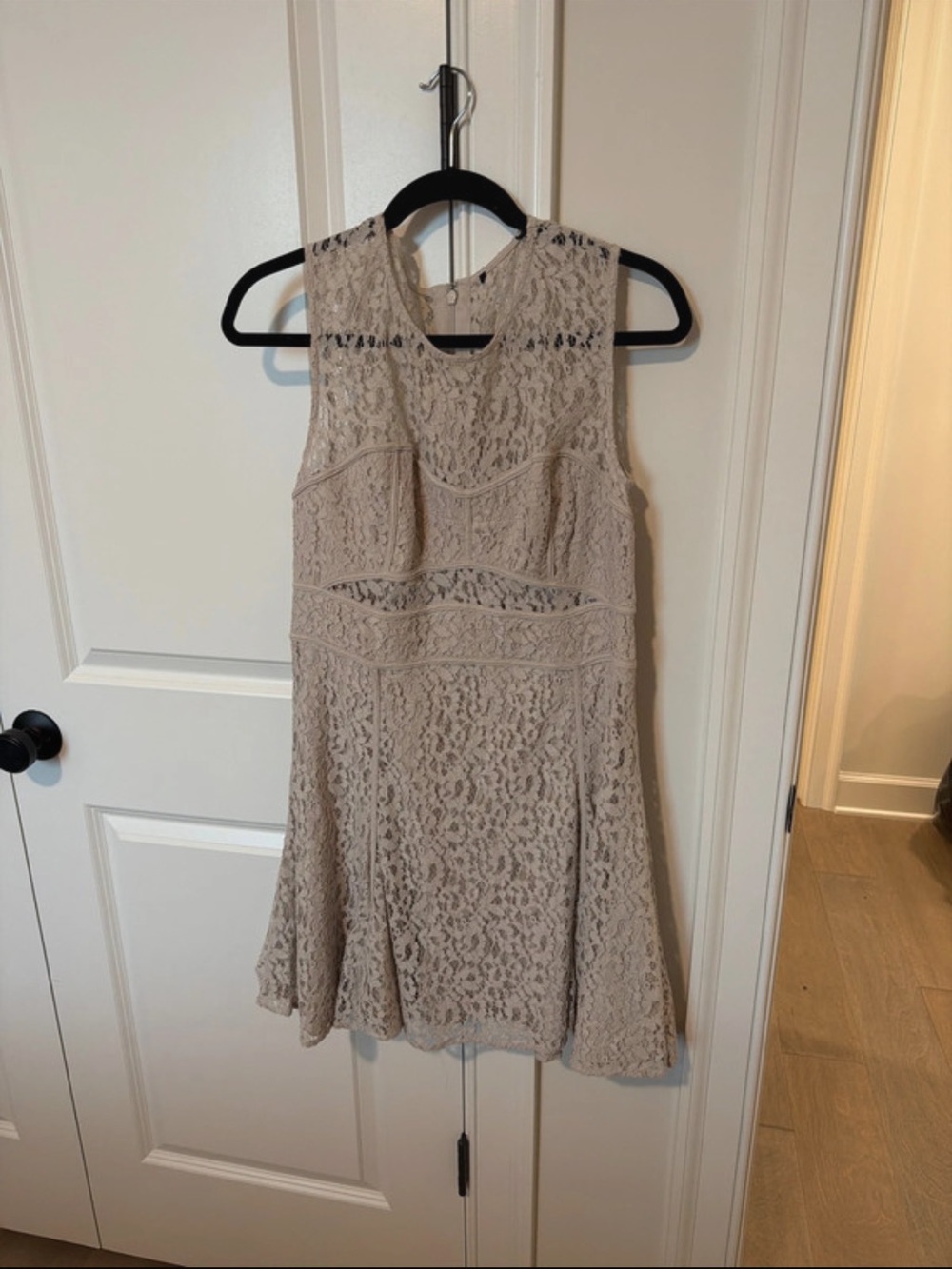 Sleeveless Lace Fit & Flare Dress in Beige